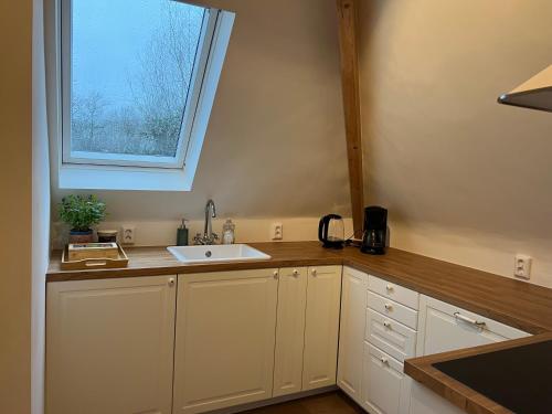 阿姆斯特丹Inn Het Nest的厨房设有水槽和窗户。