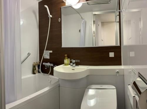 上越市Hotel Alpha-One Joetsu的一间带水槽、卫生间和镜子的浴室
