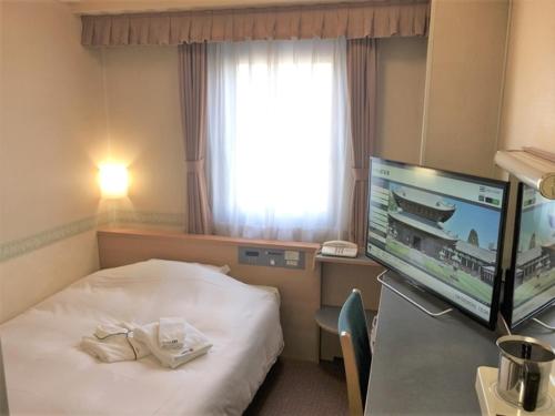 高冈市Hotel Alpha-One Takaoka的配有一张床和一台平面电视的酒店客房