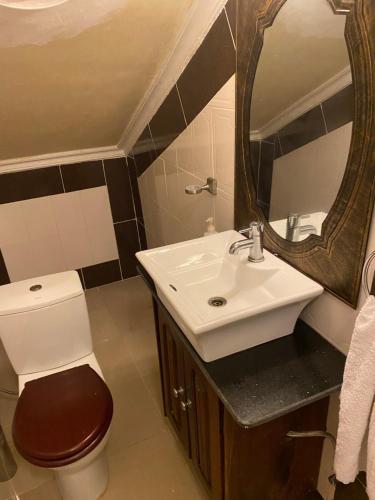 洛美The Manor的一间带卫生间、水槽和镜子的浴室