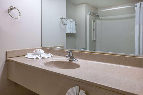 马纳萨斯马纳萨斯/66号州际公路戴斯酒店的一间带水槽和镜子的浴室