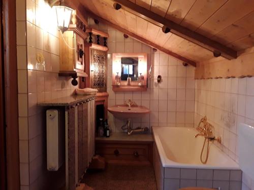 诺伊舍瑙Ferienhäuser zum Badeweiher的带浴缸和盥洗盆的浴室