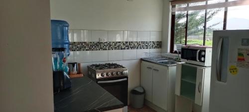 拉塞雷纳Fogones del Valle的厨房配有炉灶和微波炉。