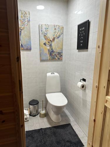 基蒂莱Villa Länsitaalo的一间带卫生间的浴室和墙上的绘画作品