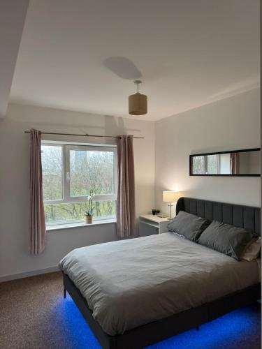 莱斯特Spacious Apartment with Balcony的一间卧室设有一张大床和一个窗户。