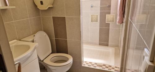 圣保罗Vacances paisibles的一间带卫生间和淋浴的小浴室