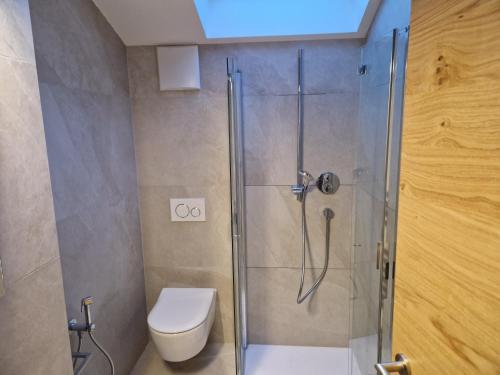 奥蒂塞伊Apartment Aghel的一间带卫生间和玻璃淋浴间的浴室