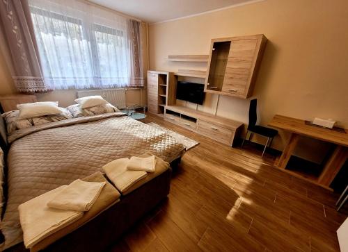 布达佩斯Mádi Rezidencia的一间卧室配有一张大床和电视