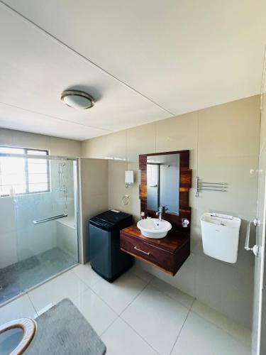Katutura2BR Apartment near Etosha的一间带水槽和淋浴的浴室