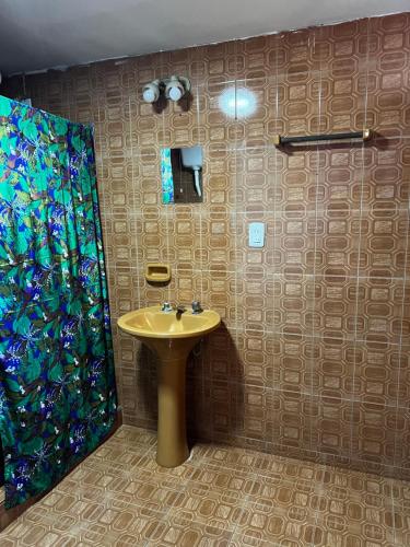 伊瓜苏港Nature Iguazu hostel B&B的一间带水槽和淋浴的浴室
