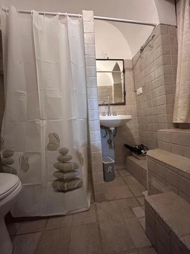 奥斯图尼La Casodda的带淋浴和盥洗盆的浴室