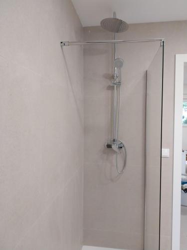 瓦伦西亚Apartamento Gran Turia的浴室里设有玻璃门淋浴