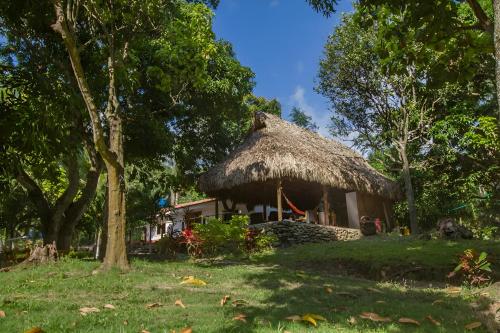 CalabazoSantuario Tayrona Hostel的草屋顶的小屋