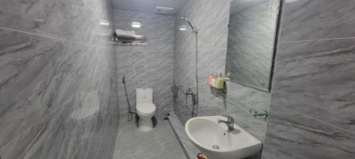 北宁Motel Xuân Hòa的一间带水槽、卫生间和镜子的浴室