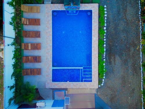 别霍港Villas Mapache del Caribe的享有庭院游泳池的顶部景色
