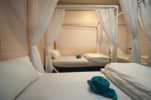 考索Chillax Khaosok Hostel - SHA Certified的一间卧室配有两张床,床上配有蓝帽