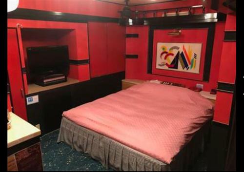 Ayabe綾部アイネ的红色卧室设有1张床和1台平面电视