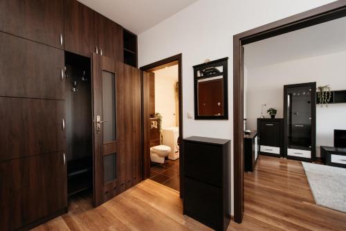 克拉科夫2-bedroom Apartment with garage in the city center的客房设有木制橱柜和带卫生间的浴室。