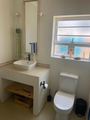 兰格班Tortoise Retreat的一间带卫生间、水槽和窗户的浴室