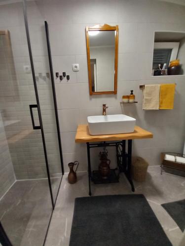 弗尔博夫斯科Studio apartman Singer的一间带水槽和淋浴的浴室