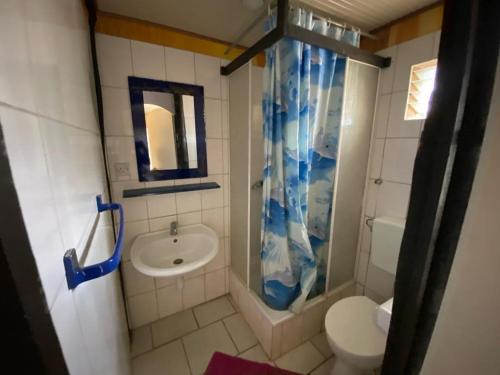 奈瓦沙Villa -Guesthousejane & Apartments的一间带水槽和卫生间的小浴室