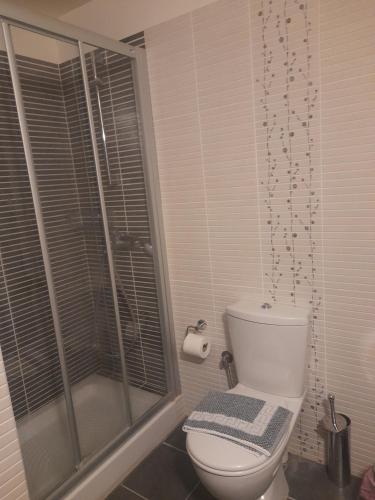 阿拉霍瓦Magnolia的一间带卫生间和淋浴的浴室
