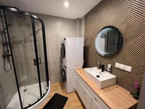 齐斯纳Apartament pod Honem的带淋浴、盥洗盆和镜子的浴室