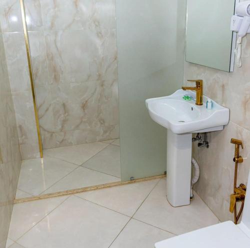 巴库Titanik Hotel的一间带水槽和淋浴的浴室