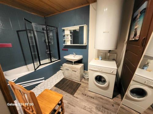 莱鲁斯Gîte du Grand Cher的小型浴室设有洗衣机和水槽。