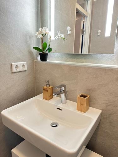 萨尔茨堡Family Home Green Paradise with Garden & free parking的浴室设有白色水槽和镜子