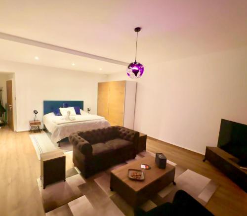 日内瓦Magnificent apartment, Geneva Center, Geneva Lake的客厅配有床和沙发