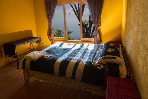 圣克鲁斯拉拉古纳Casa Maria Vista, Espectacular View的黄色客房的一张床位,设有窗户