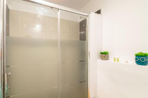 克拉约瓦Apartament Brazda - Rendez Vous的玻璃淋浴间,浴室内装有植物