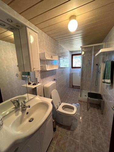 采尔克诺Apartma Bine的浴室配有白色水槽和卫生间。