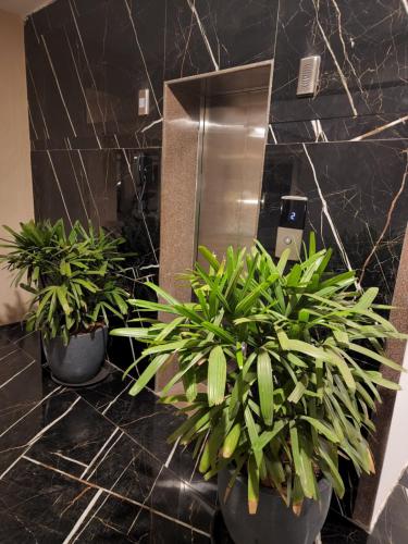 Vasco Da Gama508 SD Zanita Heights的两盆植物在镜子前的浴室台上