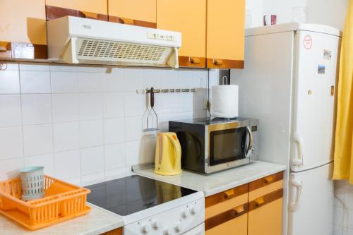 尼什Apartment Bojke的厨房配有微波炉和冰箱。