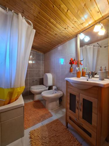 佩尼亚什达绍迪Casa dos Pinheiros - Serra da Estrela的浴室配有卫生间、盥洗盆和淋浴。