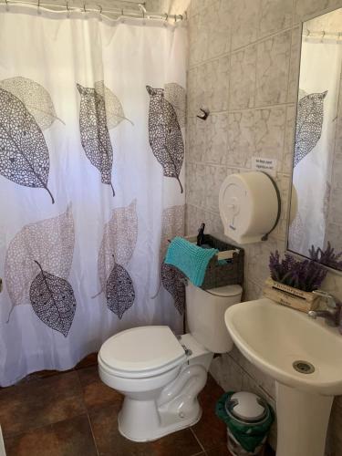 巴拉斯港Cabanas Klenner的浴室设有卫生间和带雨伞的浴帘