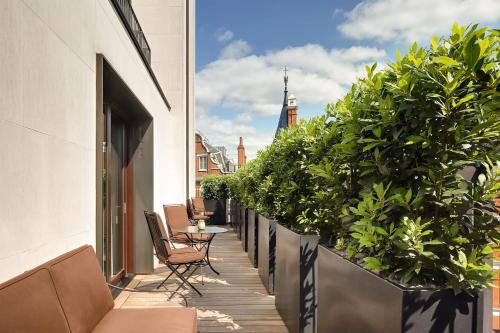 伦敦Bulgari Hotel London的阳台配有桌椅和植物