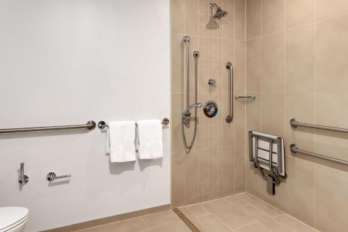 阿拉胡埃拉阿拉胡埃拉圣荷西机场万怡酒店的带淋浴和卫生间的浴室