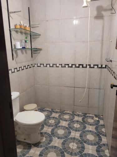 布鲁马迪纽Sítio Bárbara的一间带卫生间和淋浴的浴室
