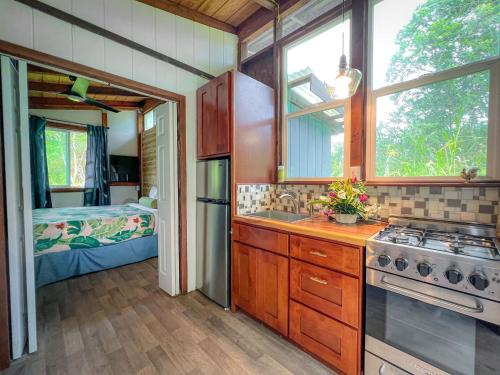 帕霍阿Hawaiian Sanctuary Eco Retreat Center的一间带水槽和炉灶的厨房以及一间卧室