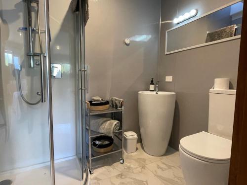 派罗阿Kowhai Studio的带淋浴和卫生间的浴室