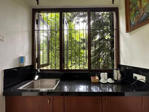 康提Rockydale Home Stay的一个带水槽和大窗户的厨房