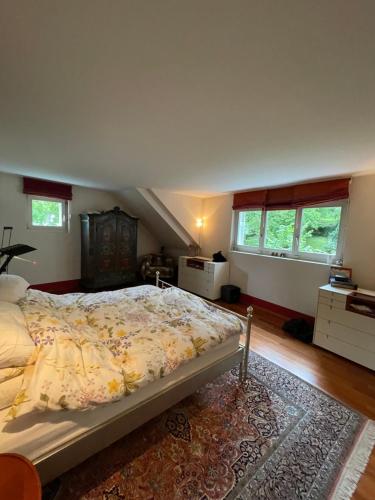 苏黎世Spacious and stylish Apartment in Zurich的一间带大床和楼梯的卧室