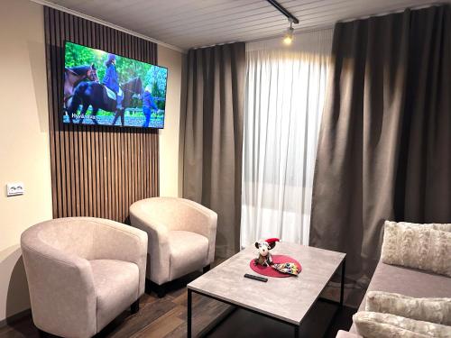 罗瓦涅米Hotel Boreas的客厅配有两把椅子和电视