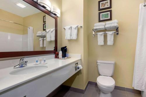 Willow SpringsComfort Inn US 60-63的一间带水槽、卫生间和镜子的浴室