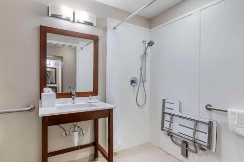 布伦瑞克Comfort Inn & Suites的一间带水槽和淋浴的浴室