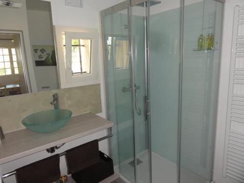 德拉吉尼昂Guestazur Draguignan的一间带玻璃淋浴间和水槽的浴室