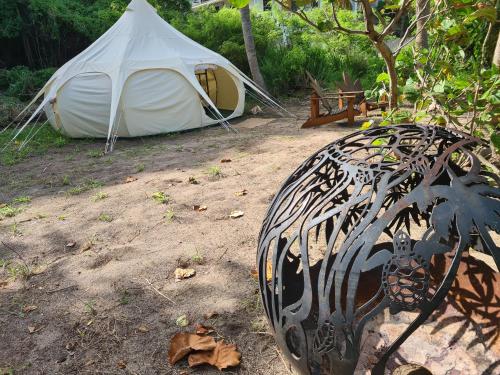 Mayreau IslandWild Lotus Glamping - Mayreau, Tobago Cays的坐在树旁的白色帐篷